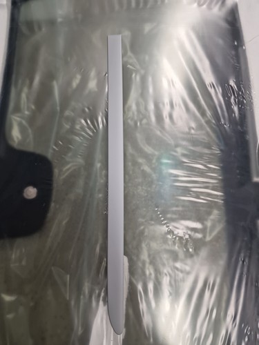 Jaguar genuine door moulding - jaguar,