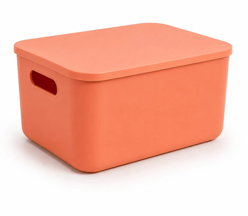 Plastic storage box with - plastic,