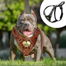 Real Leather Big Dog Harness
