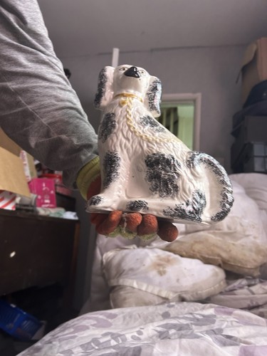 Unmarked mantle dog - unmarked,