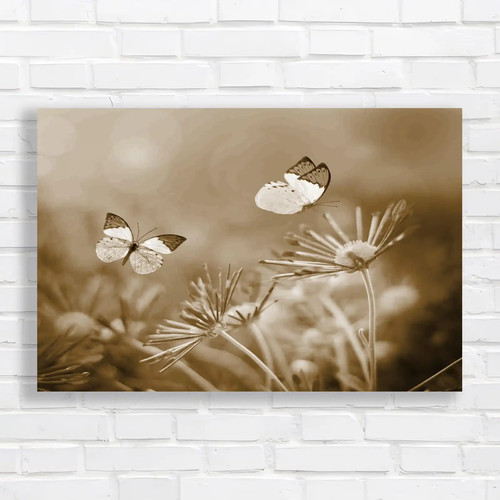 Beautiful butterfly and - butterfly,