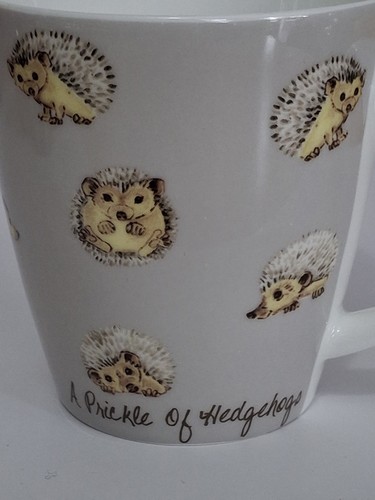 Hedgehog bone china mug - mug, queens