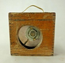 Rare vintage racing pigeon