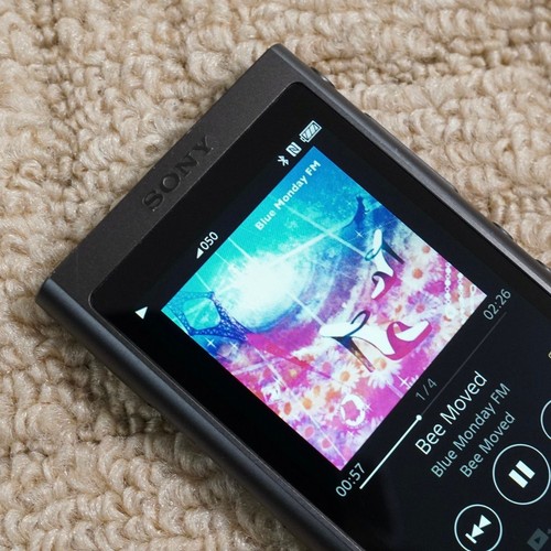 Sony a55 walkman mp3 player - sony, nw-a55