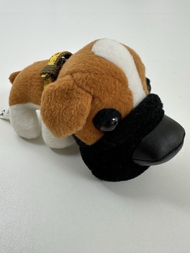 Boxer dog miniature - miniature, with