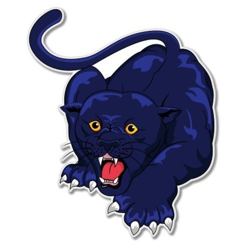 Panther full color car - color, vinyl
