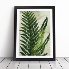 Fern Leaf Decoupage Framed
