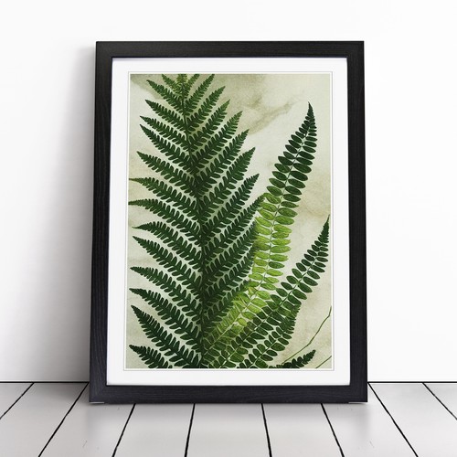 Fern leaf decoupage - fern, framed
