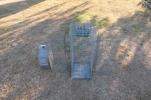 Animal traps