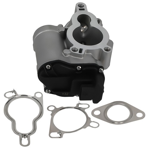 Egr valve for - valve, laguna