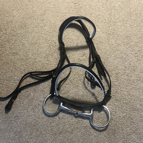 English bridles for horses - english,