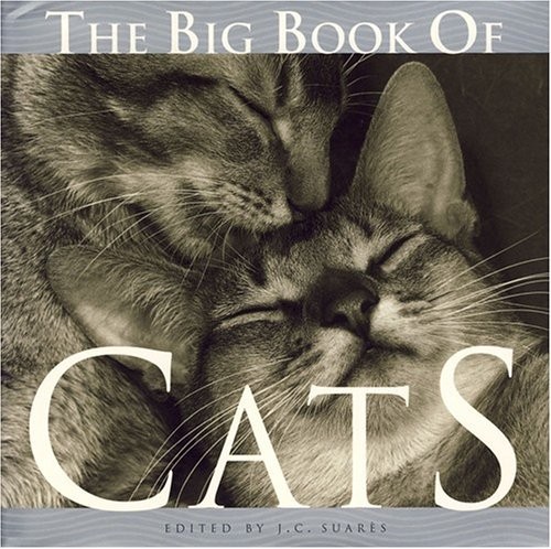 The big book cats c - cats,,