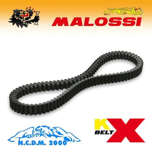 Malossi 6113500 transmission - 6113500,
