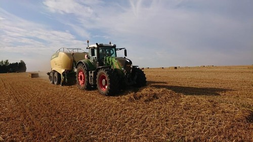 Straw wanted the swath in - straw,