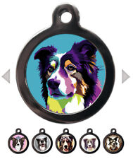 Border Collie Dog Breed Pet