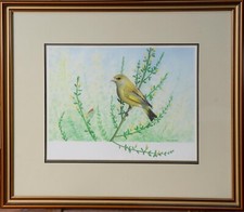 Signed original ornithology - signed,