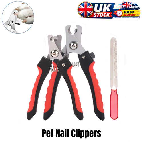 Dog nail clippers pet - dog,