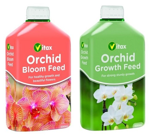 Orchid bloom feed - bloom,