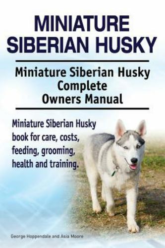 Miniature siberian husky - siberian,