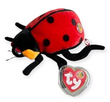 Beanie ladybird soft toy - beanie,