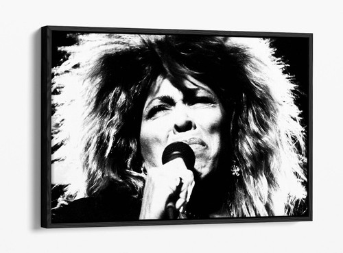 Tina turner singer black - tina,