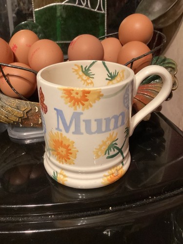 Great new emma bridgewater - great,