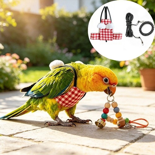 Parrot bird harness leash - parrot,