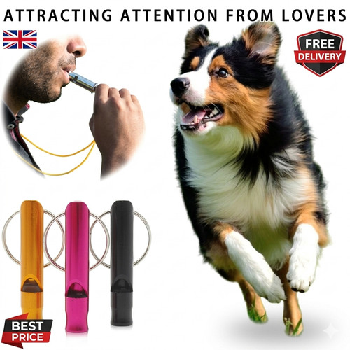 Gun dog training - gun,