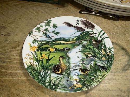 Wedgwood collectors plate the - wedgwood,