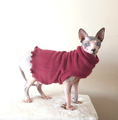Comfy stretchy jumper - stretchy,