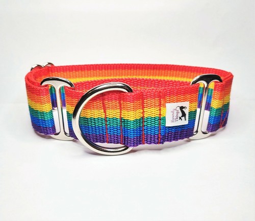 Rainbow martingale dog collar - martingale,