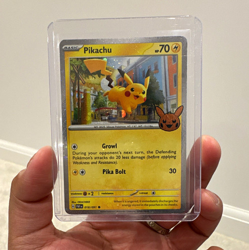 The pokémon company pikachu - pokémon,