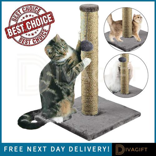 Cat scratching post - cat,
