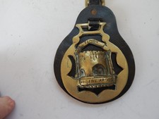 Horse Brass Leather Strap