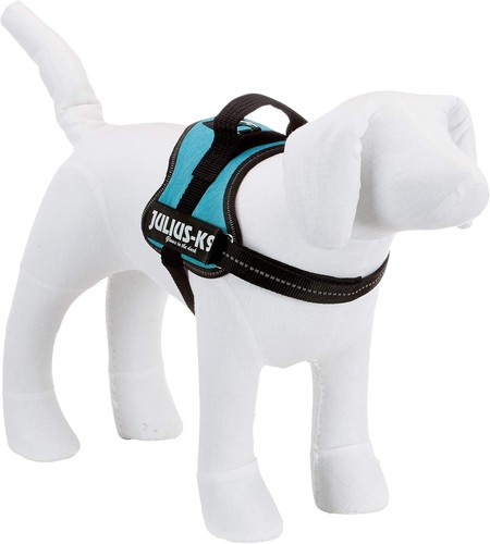 Julius size mini - k9,