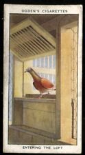 Tobacco Card, Ogdens, RACING PIGEONS, 1931, Entering the Loft, #9