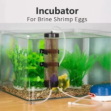 New Brine Shrimp Hatchery Fish