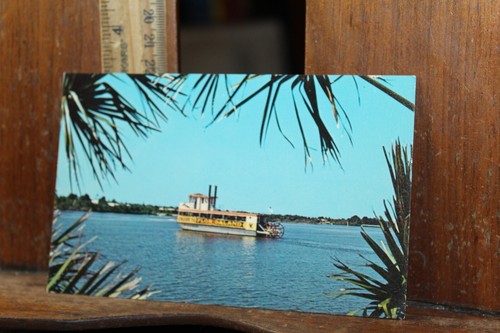 Vintage postcard floridaland - vintage,