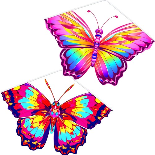 Beautiful butterfly colorful - butterfly,