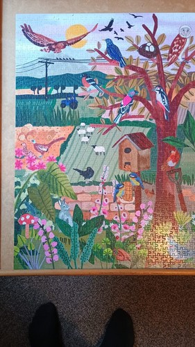 Pick birds jigsaw - me, up