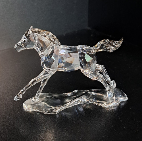 Swarovski scs companion foal - companion,
