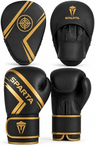 Boxing gloves and focus - focus, pads
