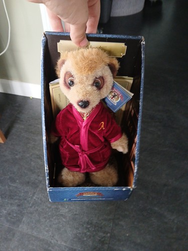 Meerkat