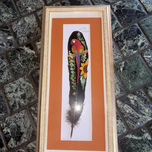 Framed feather with tropical - framed,