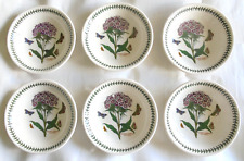 Portmeirion Botanic Garden