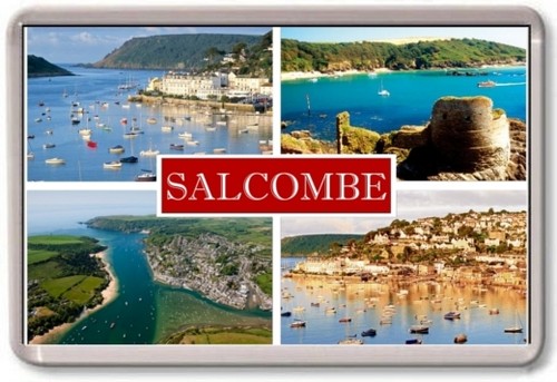 Fridge magnet salcombe - fridge,