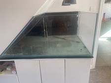 large bespoke built fish tank