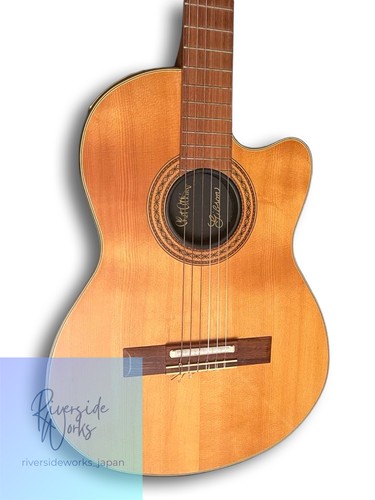 Gibson chet atkins - atkins, model