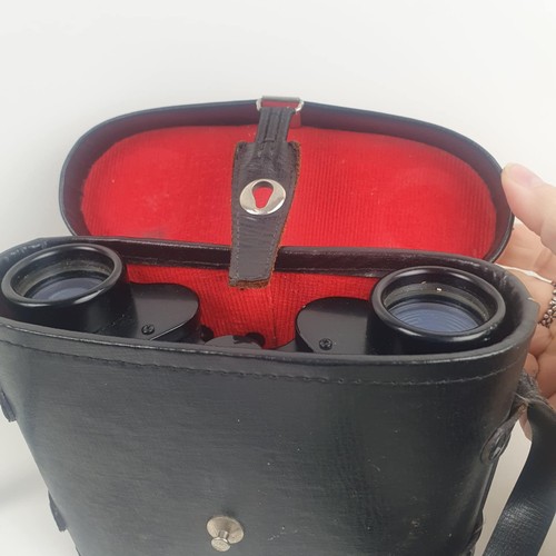 Vintage binoculars fotosonic - vintage,