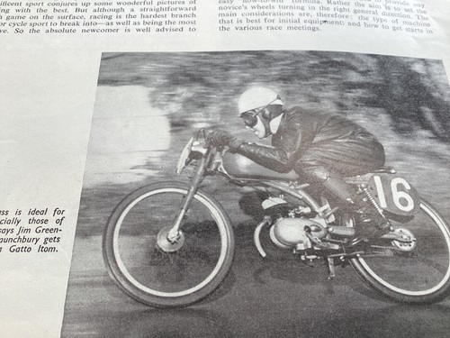 Jim greening gatto - jim, itom